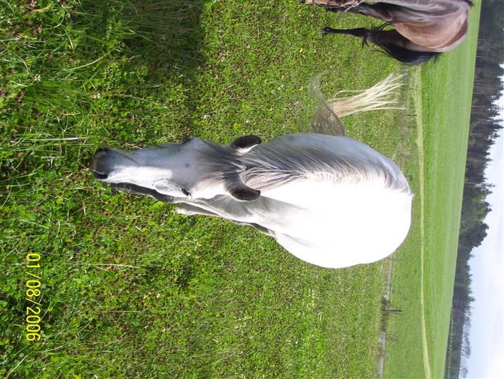 Anden særlig race Sebastian<3 Savner dig! billede 14