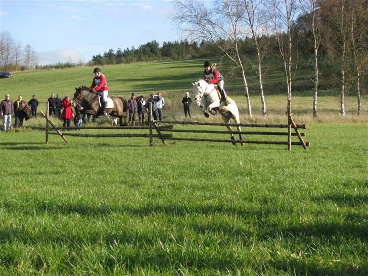 Anden særlig race Pinocchio SOLGT - Nokken på jagt i Gjern! Springer rigtig super her. billede 15