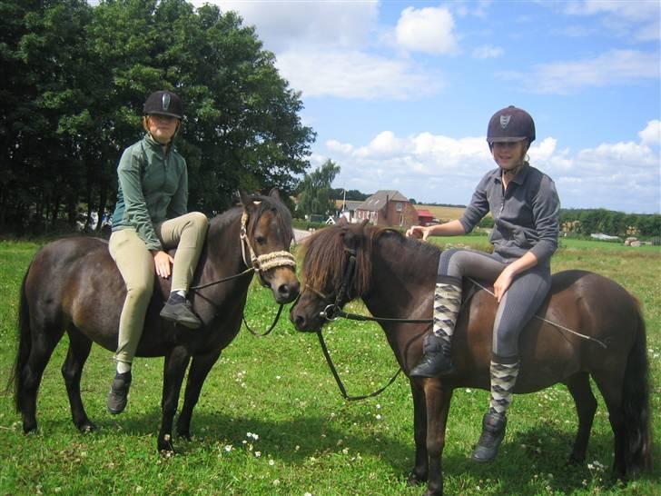 Welsh Pony (sec B) Kastania - Nanna og jeg når vi har det sjovest.. xD - Her flot opstillet i damesadel d: <3 Sommeren 2009 billede 15