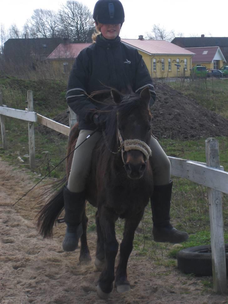 Welsh Pony (sec B) Kastania - Mig og hyppen xD - Mig er meget stor til lille hest, men det skider vi da på xD <33 Forår 2009 billede 16