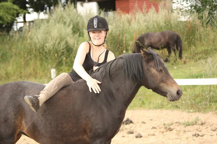 Welsh Pony (sec B) Kastania - Man kan gøre alt ved dig Pony <3 Sommeren 2010 billede 17