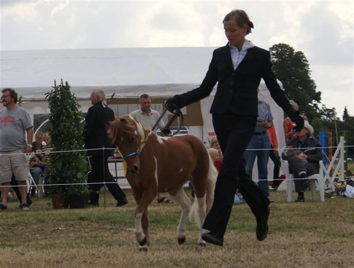 Miniature Scout Zodiacs Little Boy  - Til MHCE International 2008. En 3. plads. vi traver lige ud af klassen :) billede 18