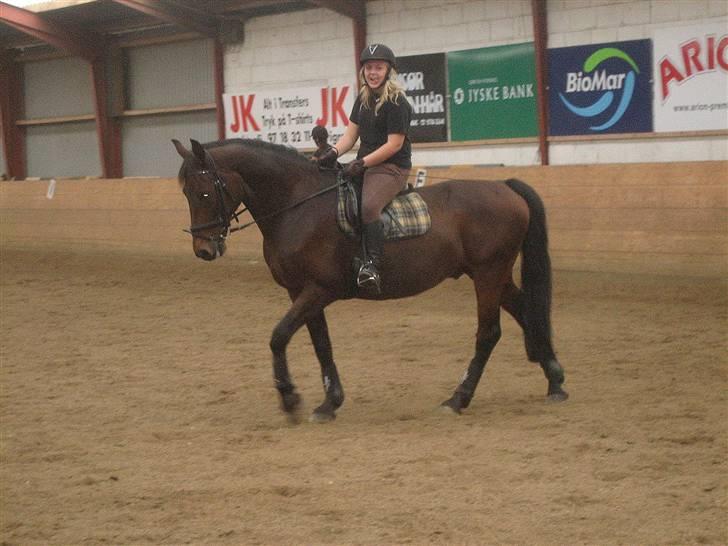 Anden særlig race Midnight Teardrop - skriiiidt hvor jeg lige "fjoller" til Sig ;) billede 11