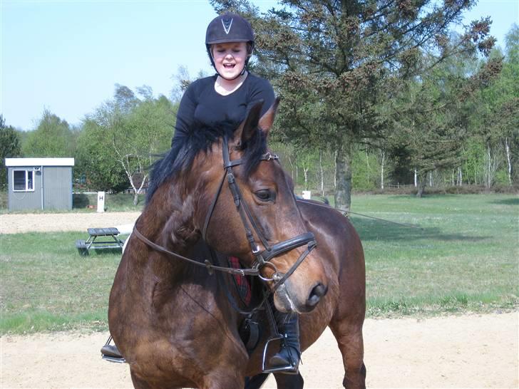 Anden særlig race Midnight Teardrop - .. billede 14