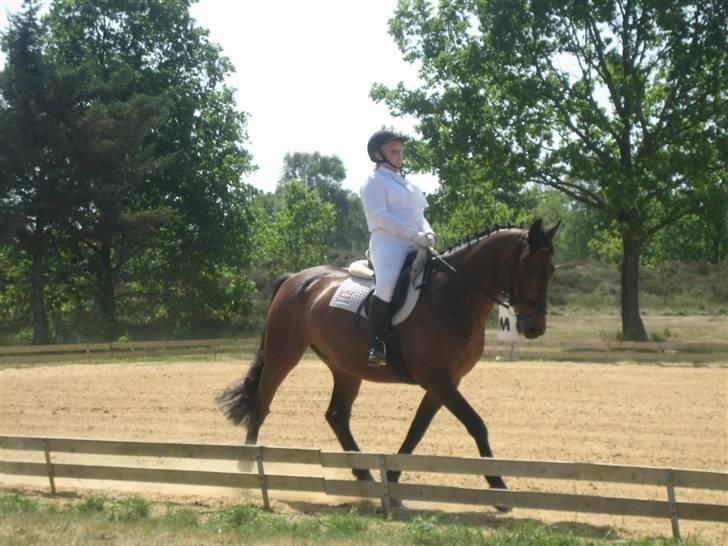 Anden særlig race Midnight Teardrop - Klubstævne <3 billede 20