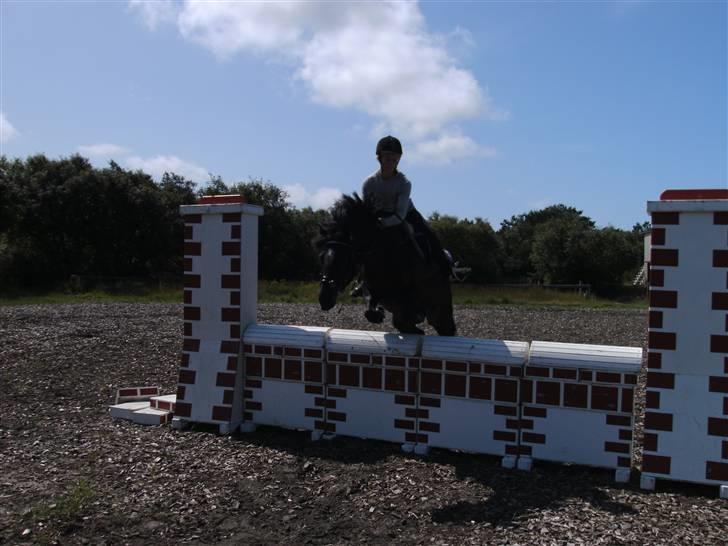 Anden særlig race Blade ( Solgt ) :( - hej velkommen til min profil !! ;D....jeg hedder blade men bare kald mig BALADEN..! billede 1