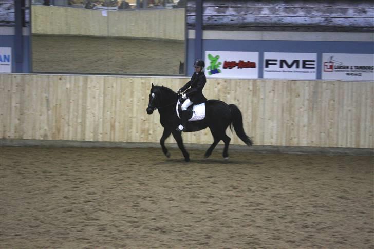 Anden særlig race Blade ( Solgt ) :( - mig og blade !!! ;D FRK billede 2