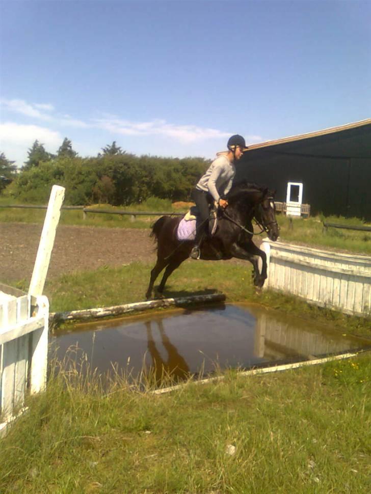 Anden særlig race Blade ( Solgt ) :( - vandgrav 2 meter lang / bred billede 5
