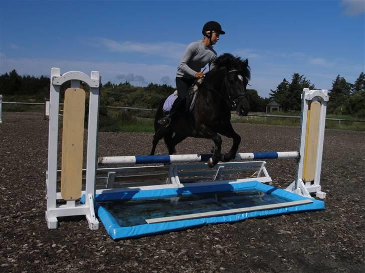 Anden særlig race Blade ( Solgt ) :( - jubiii billede 6