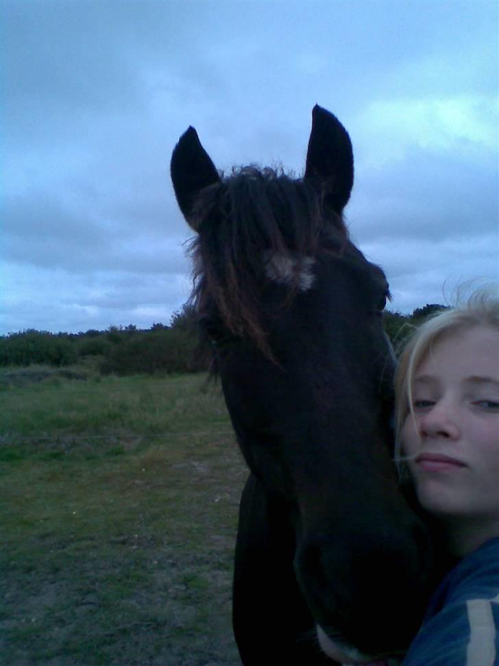 Anden særlig race Blade ( Solgt ) :( - du giver gode knuzer ;D billede 8