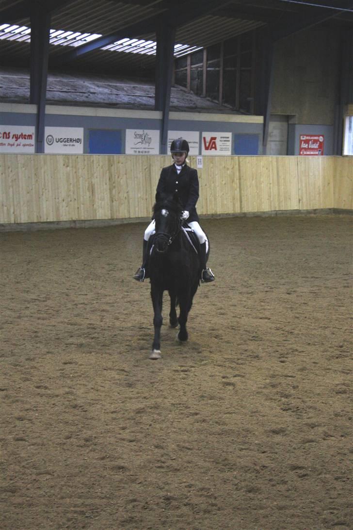 Anden særlig race Blade ( Solgt ) :( - hey JEG ER BARE SEJ billede 11