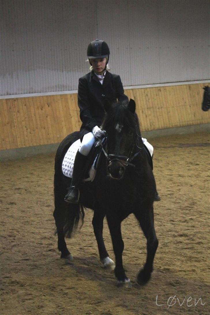 Anden særlig race Blade ( Solgt ) :( - mig og mette til mit første stævne ..i frk  billede 12