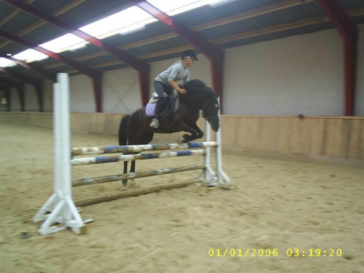 Anden særlig race Blade ( Solgt ) :( - kan jeg blive et spring talent ?? billede 13