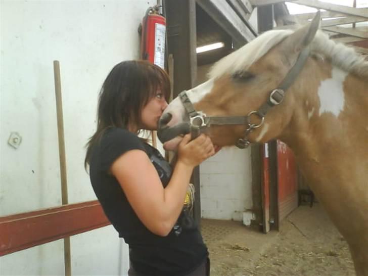 Anden særlig race Bailey  - et lille kys :)  billede 14