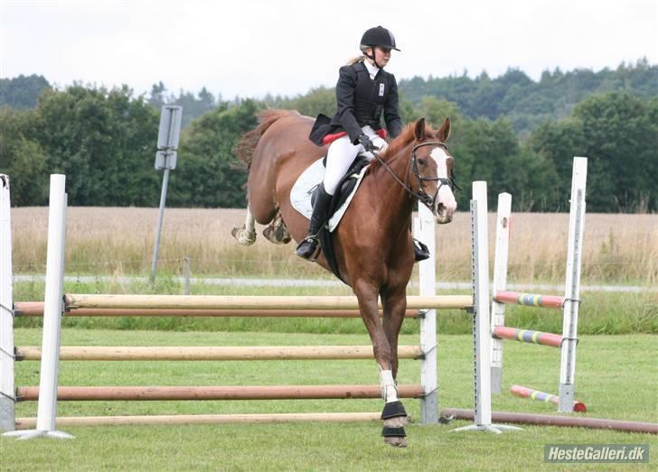 Dansk Varmblod Quadrifóglio - Stævne i Dronninglund, mig og Quas´ første Fotograf: Michael billede 10
