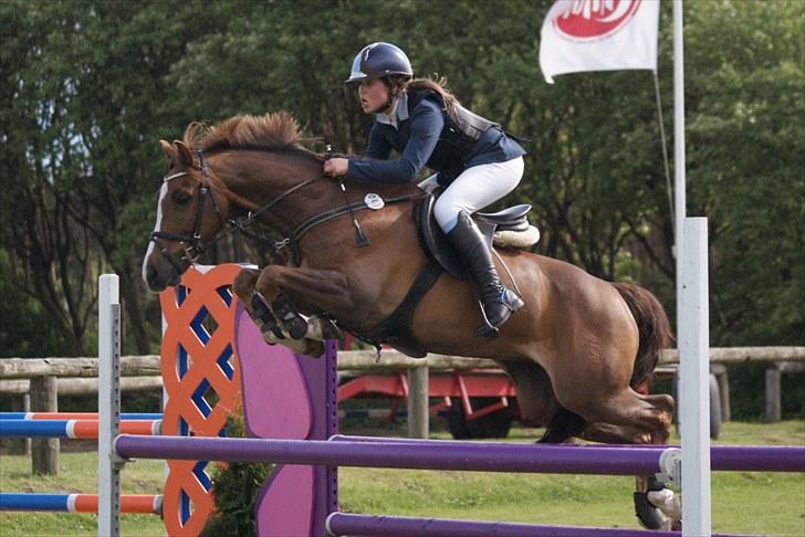 Tysk Sportspony Breitling  - L/M mesterskab på kallehavegård 2010 billede 4