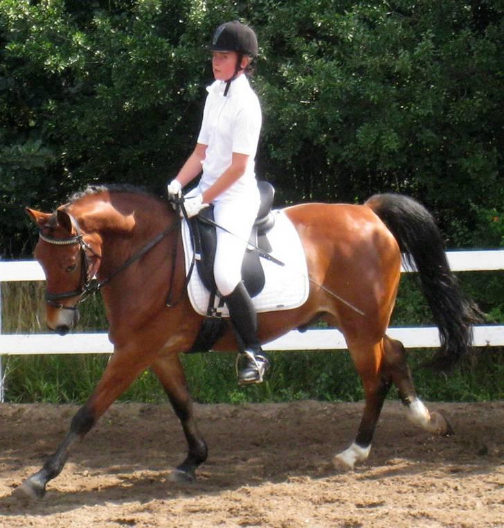 Anden særlig race Fernando B-pony - R.I.P... billede 4