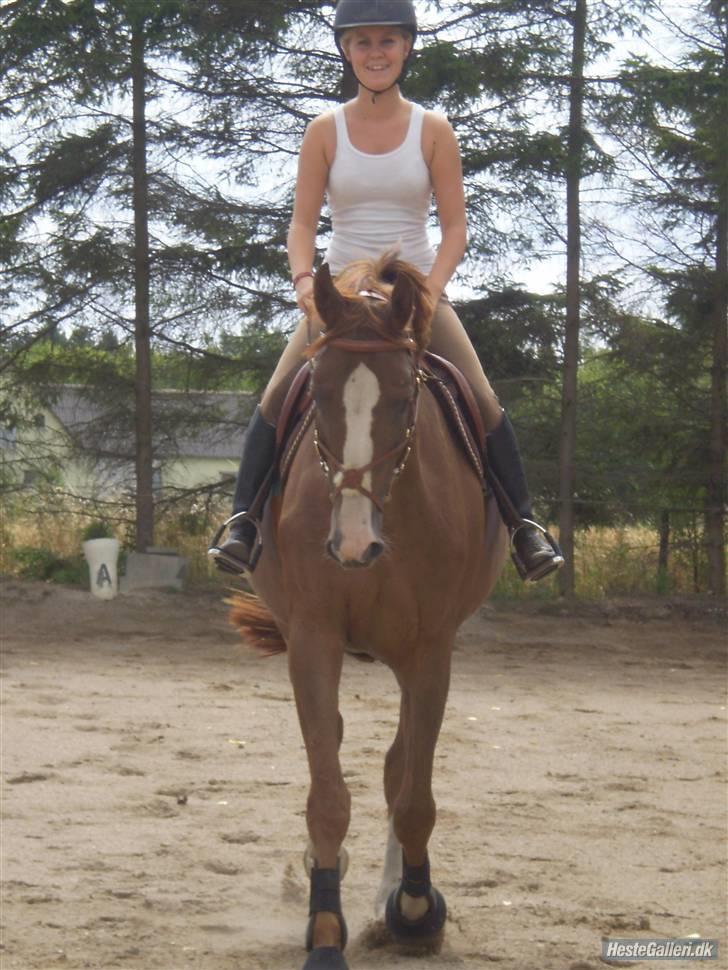 Anden særlig race Estrupvangs Poseidon billede 11