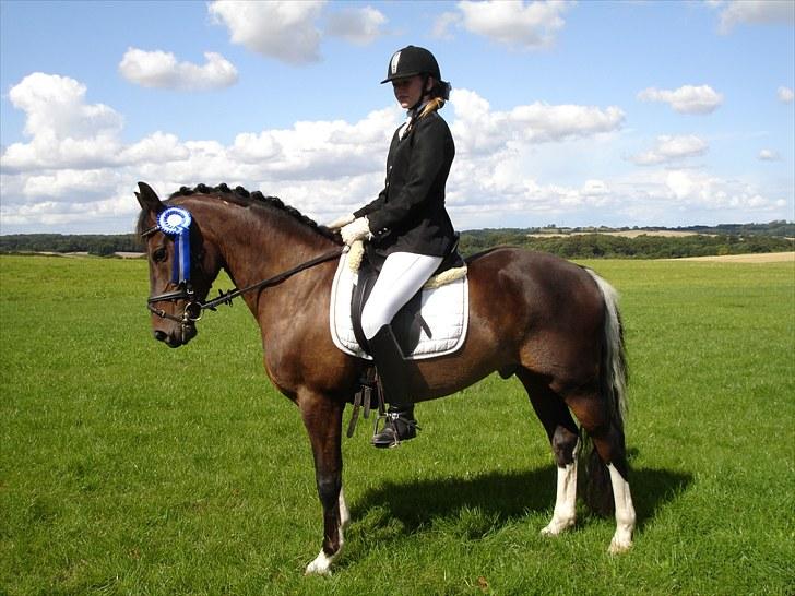 Anden særlig race Bette Hansen billede 5