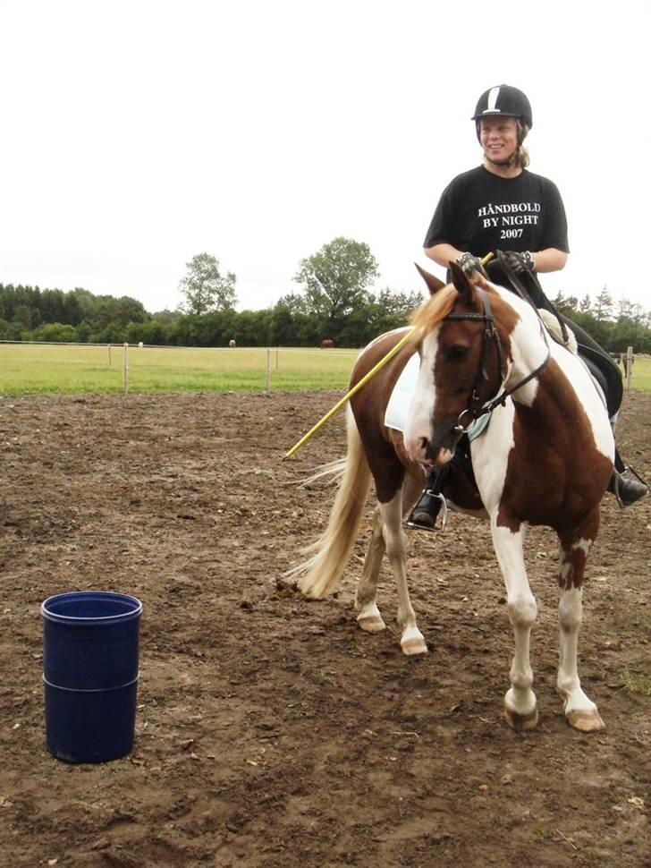 Pinto Speedy I I  - ponygames d; Foto: Anne MD .. billede 15