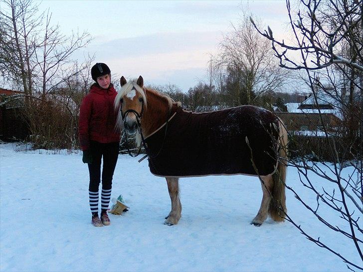 Haflinger Herta - 19) Mig og Herta hjemme i haven :) 2009 billede 18
