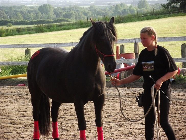 Merens de Cheval Lady (Lelia de Olmes) - Ridelejr opvisning 2010. De gik ikke så fantastisk, men et dejligt minde for en skøn uge <3 billede 12