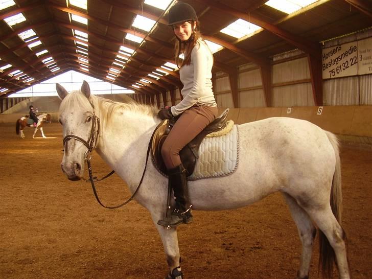 Anden særlig race Filuca - Man er træt, men ikke så træt, at man ikke kigger på fotografen :b billede 7