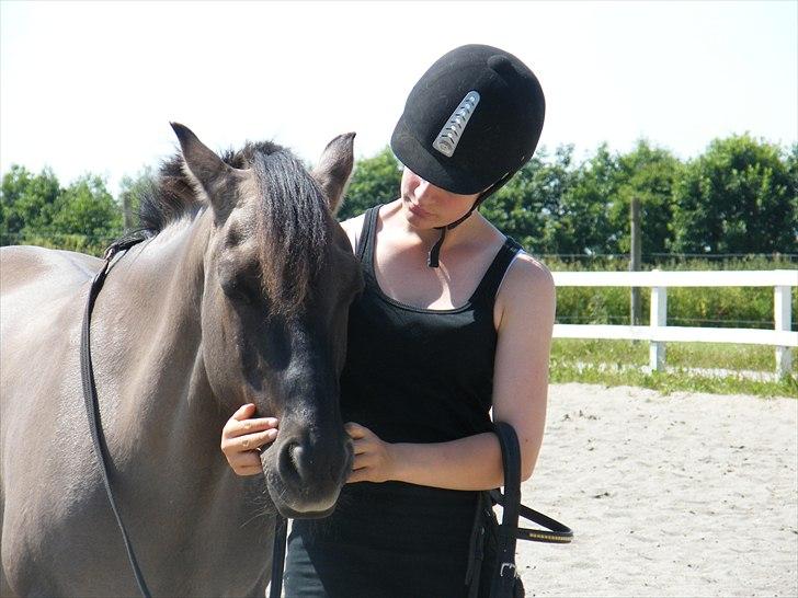 Konik Polski Charlie Am Tess ¤R.I.P¤ - TILLID OG VENSKAB! billede 4