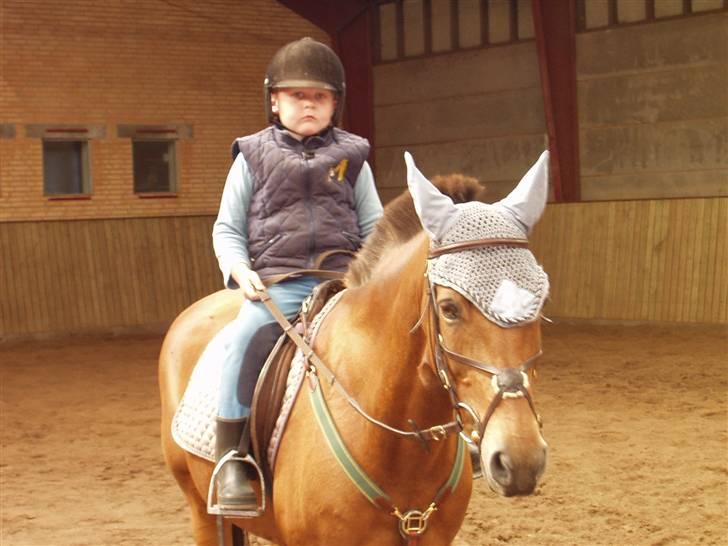 New Forest Borups Frida - min lillebror og frida (:<3´ billede 20