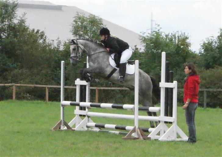 New Forest Rødtjørns Geronimo *SOLGT - Charlotte på Geo i LC spring til VDM 2008 - Han kan da bare hoppe den pony!! - Foto: Siv Albeck billede 19