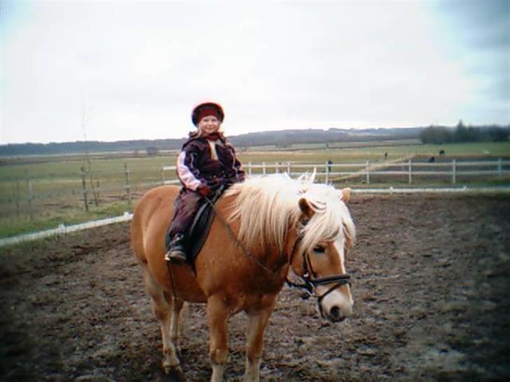 Haflinger Mikado - Mig på Mikado, da jeg var ret lille billede 4