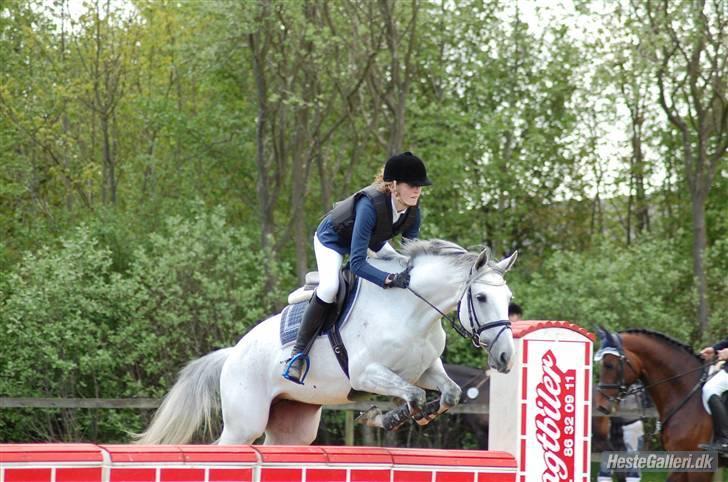 Dansk Varmblod Loretta - Solgt :'( - loooooove ya<3 billede 10