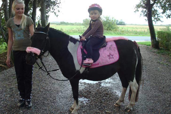 Anden særlig race Stabygårds Flurie SOLGT billede 11