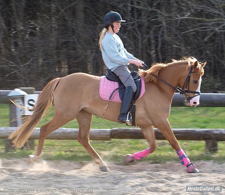 DSP Lindholms Gutchi - :D billede 10