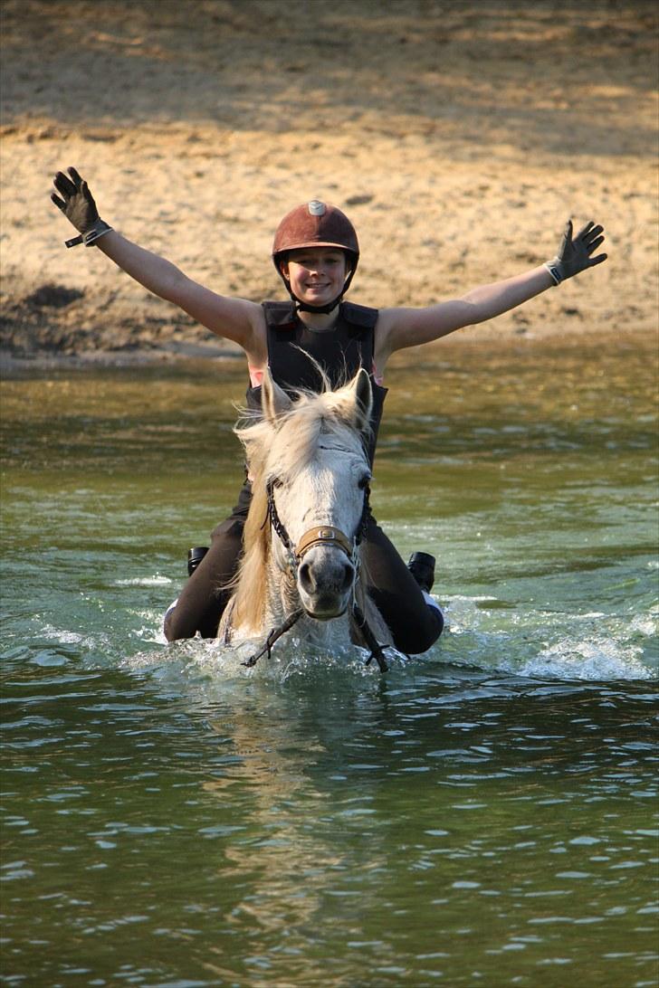 Connemara Bredballegaards Mustang  - Fra en fantastisk tur til den kunstige sø med kæresten (ham der har taget billedet) :D    GIV LIGE MUSTANG EN KOMMENTAR OG BEDØMMELSE; NÅR DU NU ER HER! DET VILLE VÆRE SKØNT!! :D billede 1