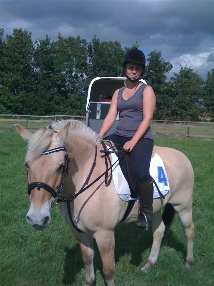 Fjordhest Liv  -   RIP :´( - Til gallopløb i pandrup 2008 billede 13