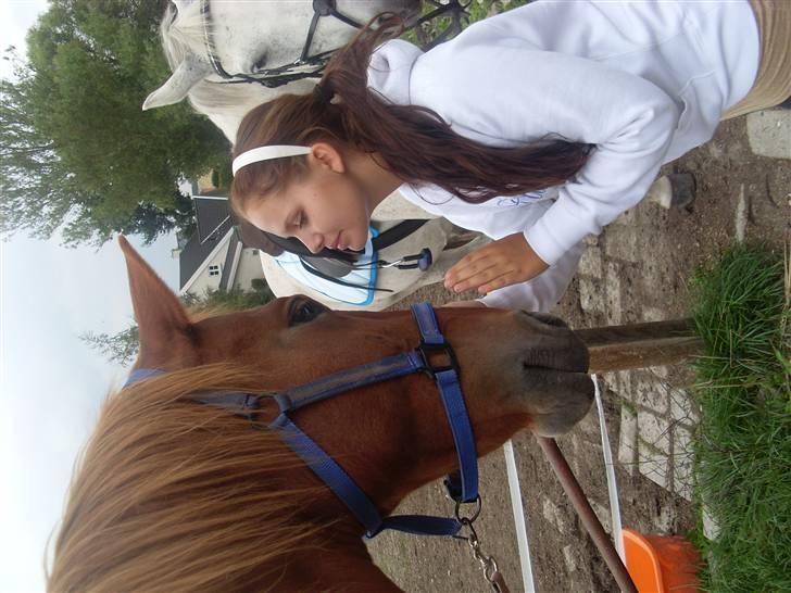 Frederiksborg Lanet Fuglebjerg - Lanet og linselusen comet billede 10