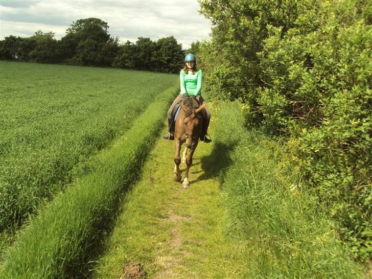 Anden særlig race Miss maja   (død) - mere tur billede 10