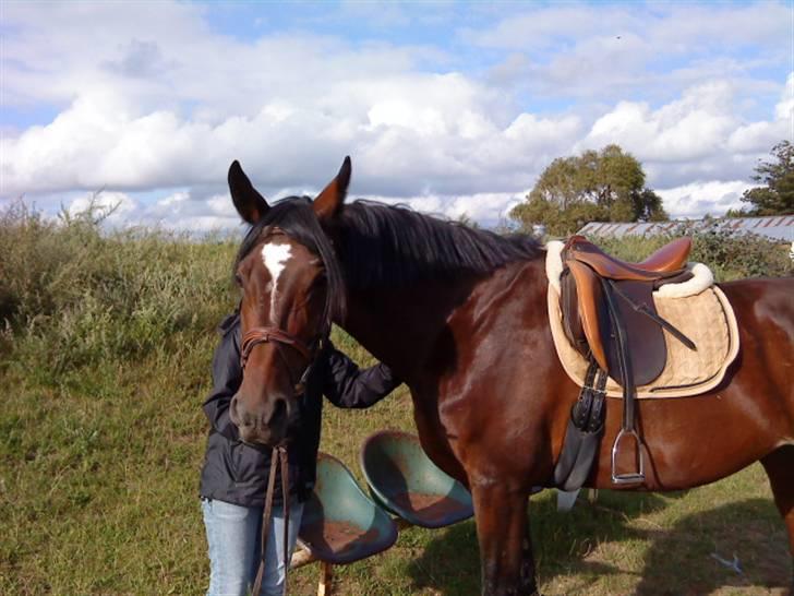 Anden særlig race Malpa  (SOLGT) billede 4