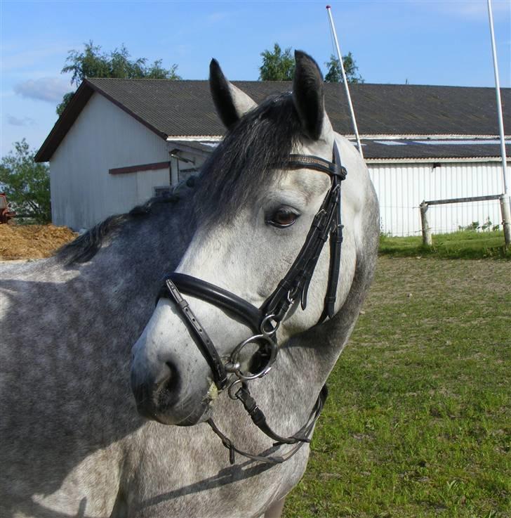 Connemara | Tour/Tut <3 Solgt - 4# Uhh.. Såå LÆKKER<3=) Foto: Malene Friis :D billede 4