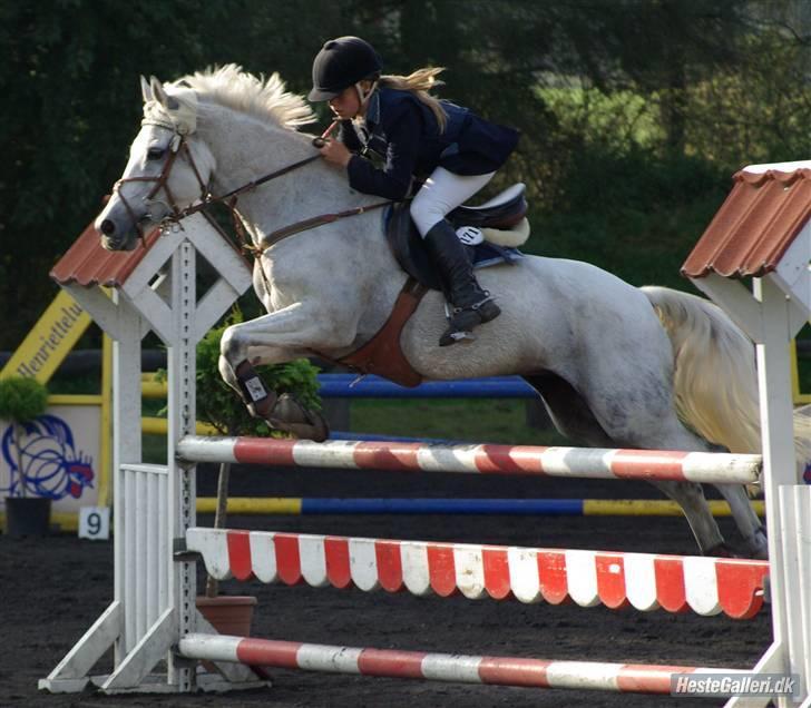 Tysk Sportspony Mona 548 B-pony - 16) Mig & Mona til stævne på Kalle :) LA 6.plads ud af nogle af 50 :O Taget af Stine Bach, 100 tak :* billede 16