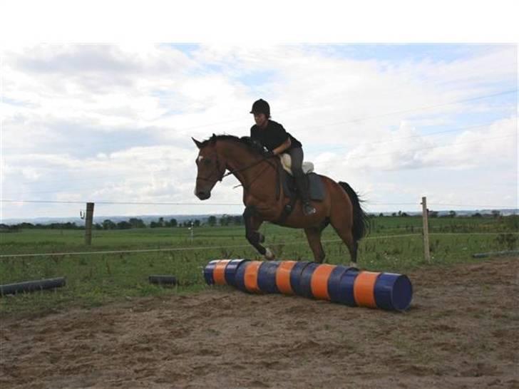 Anden særlig race Delano <3 Himmel hest <3 - yes den nye spring hest  billede 9