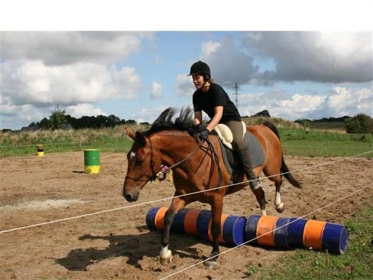 Anden særlig race Delano <3 Himmel hest <3 billede 10