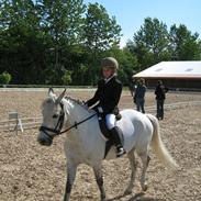 Anden særlig race Choko Prins solgt :-( <3