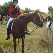 Frederiksborg Atlantis