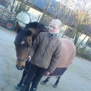 Anden særlig race Sveske R.I.P.