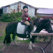 Anden særlig race Amanda