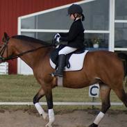 Anden særlig race Bella Donna