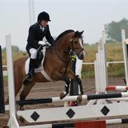 Anden særlig race Bella Donna