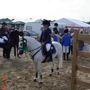 Anden særlig race Bette Claus  solgt* :(